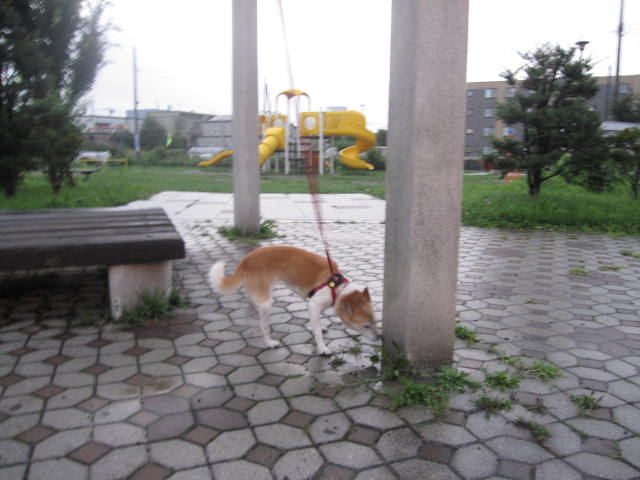 e0191826_23224211.jpg