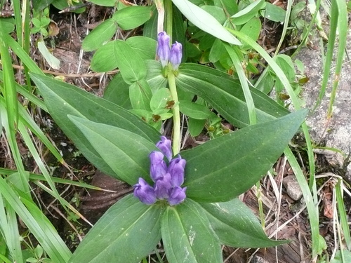 c0009528_2114413.jpg