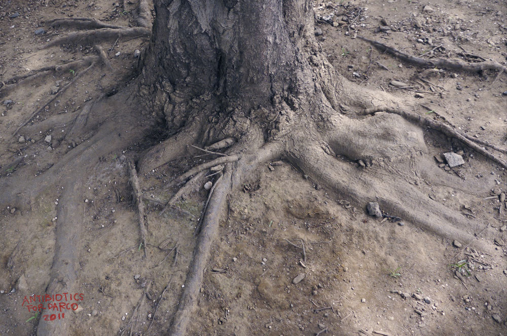 e0199431_17172437.jpg