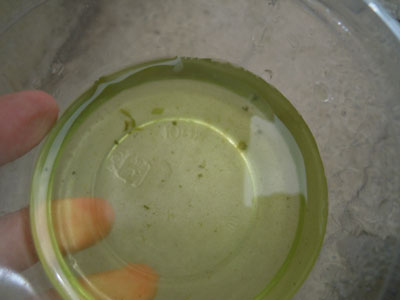 e0097534_21144549.jpg