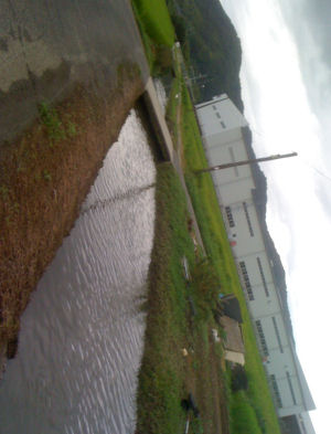 c0069036_22132789.jpg