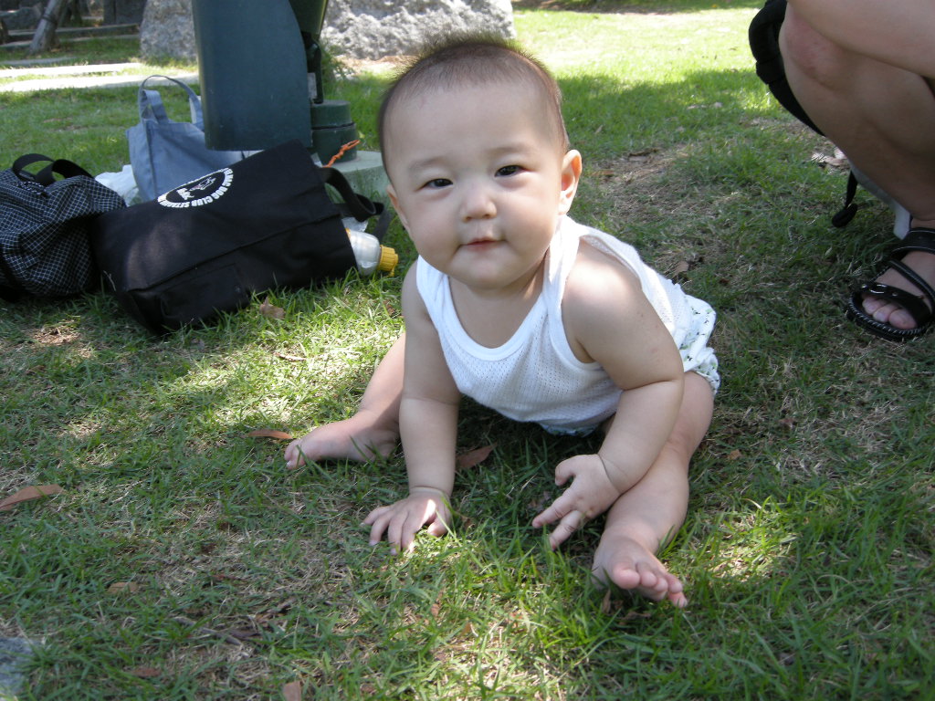 f0193836_1154883.jpg