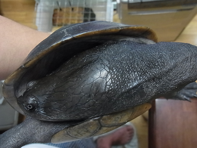 e0119439_23304087.jpg