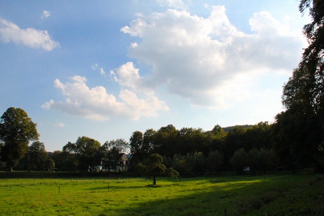 c0153740_5524998.jpg