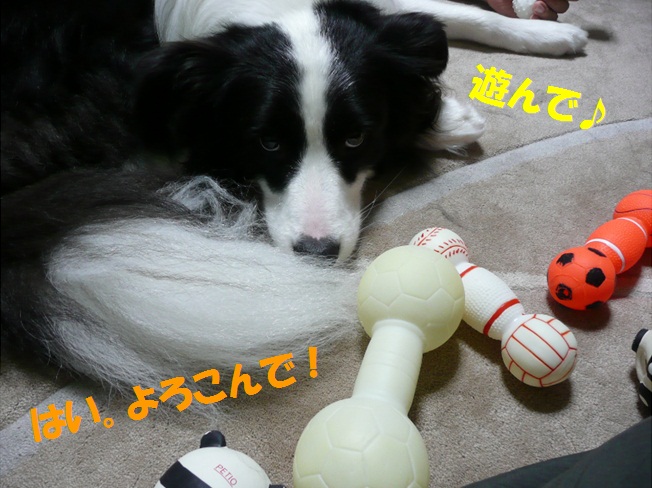 c0147241_23472824.jpg