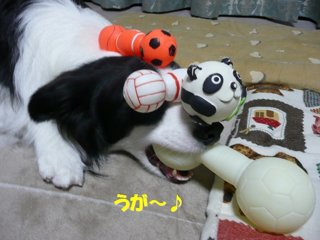 c0147241_23474691.jpg