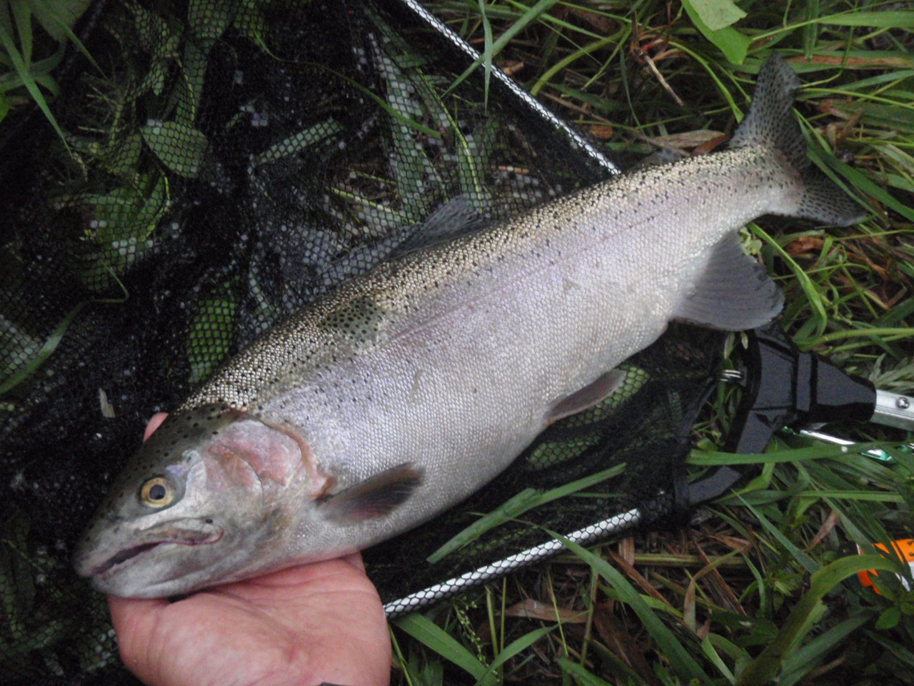 d0083145_17182072.jpg