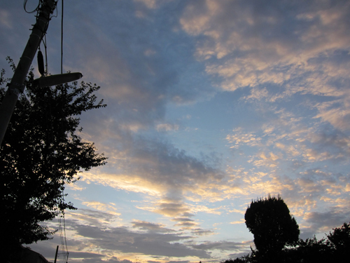 f0166645_2013135.jpg