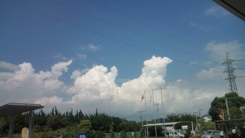 b0032346_13225880.jpg