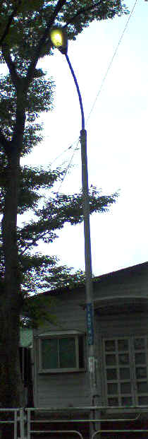 f0153547_1123716.jpg