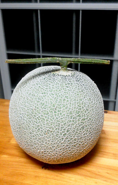 f0179947_0205368.jpg