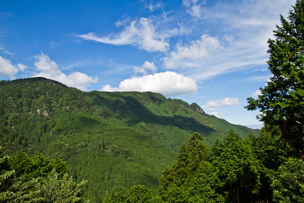 b0229648_6555176.jpg
