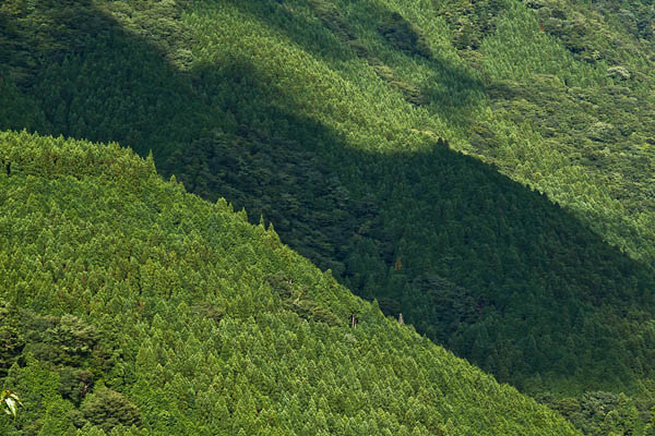 b0229648_6564957.jpg