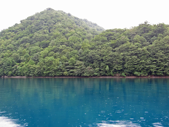 c0147548_15345752.jpg