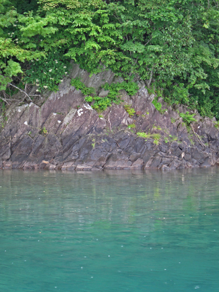 c0147548_15404423.jpg
