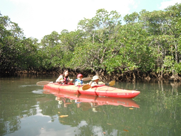 e0134752_20255133.jpg