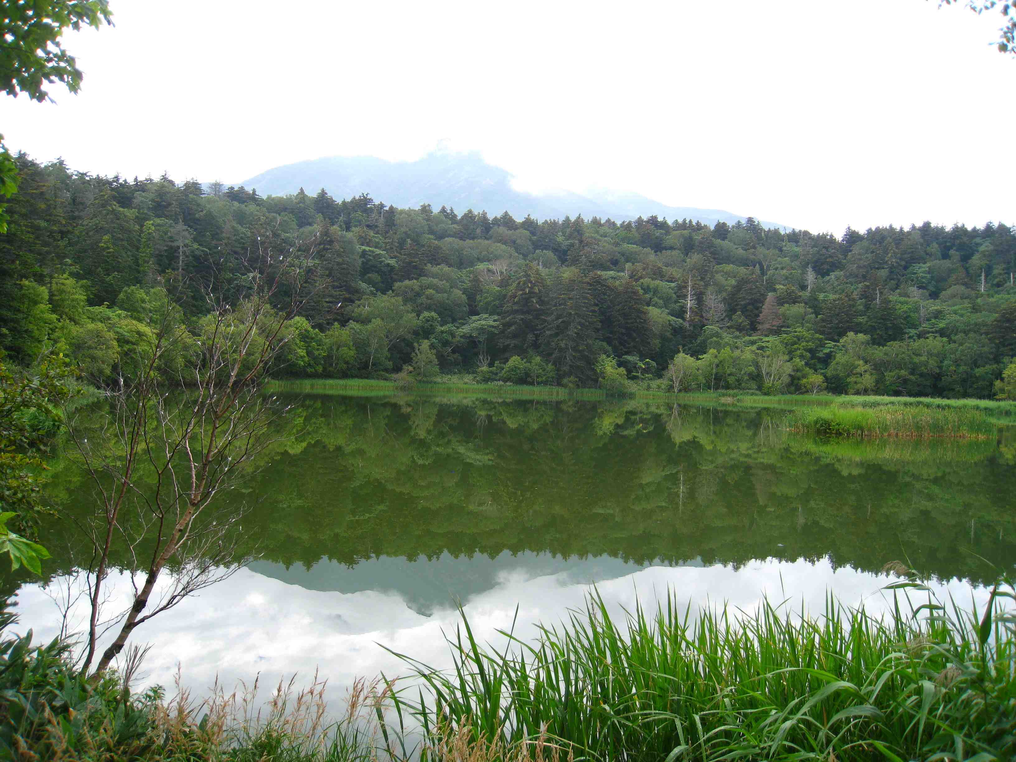 f0233356_14433356.jpg