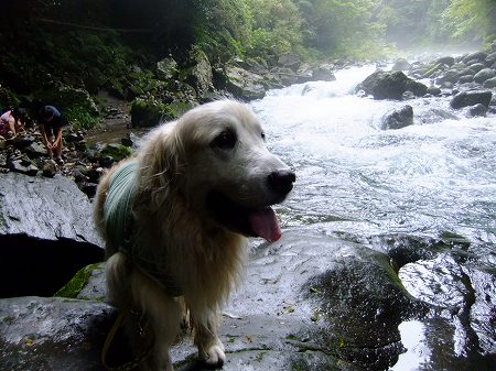 c0097558_1720456.jpg