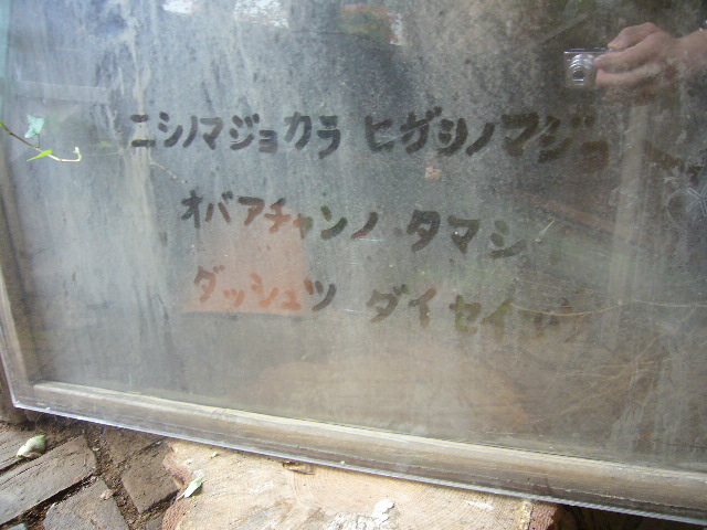 c0164560_1554794.jpg