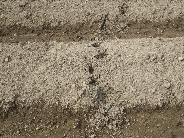 f0055264_19451290.jpg