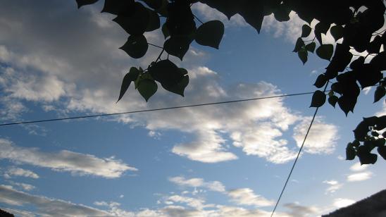 e0151266_1812981.jpg