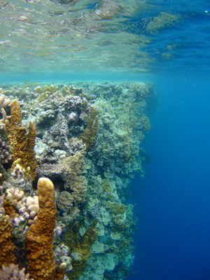 e0184067_11574418.jpg