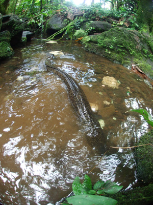 e0184067_11581150.jpg