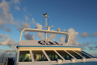 e0184067_1159127.jpg