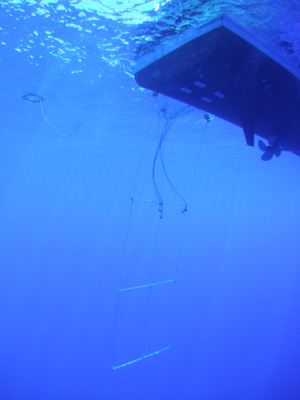 e0184067_11594118.jpg