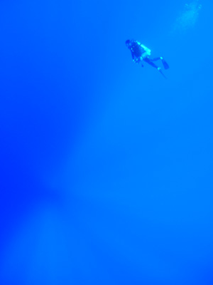 e0184067_1159586.jpg