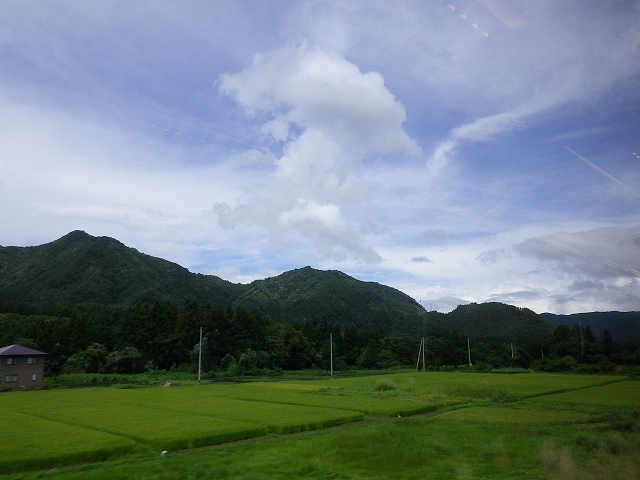 e0078069_1522682.jpg
