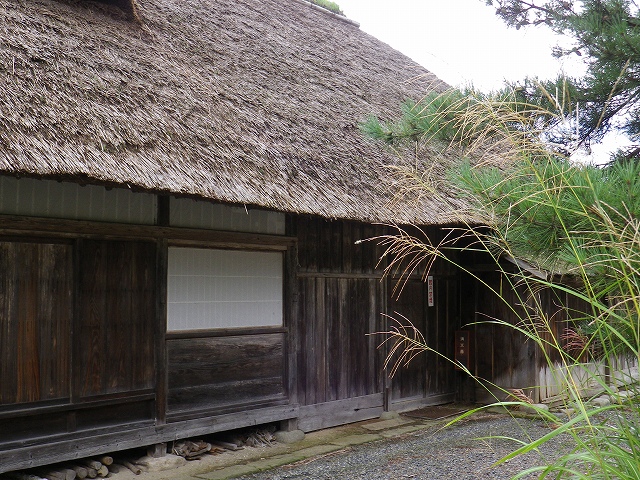 e0078069_15231177.jpg