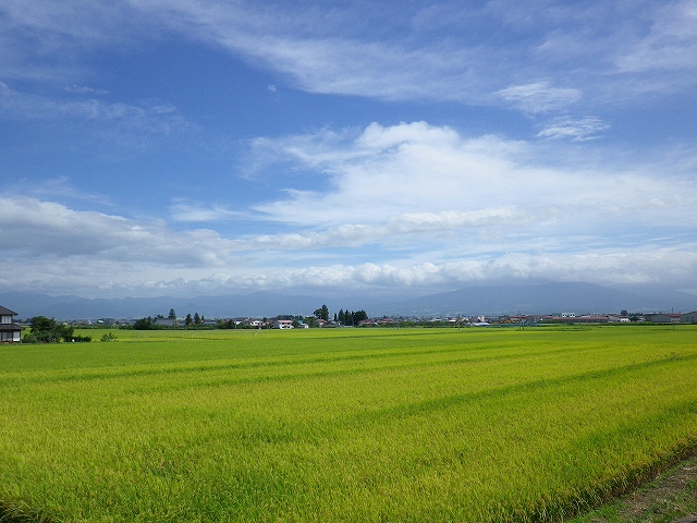 e0078069_1534691.jpg