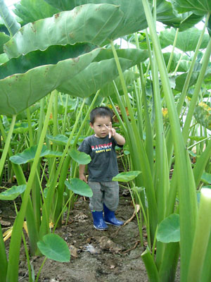 e0097770_22036100.jpg