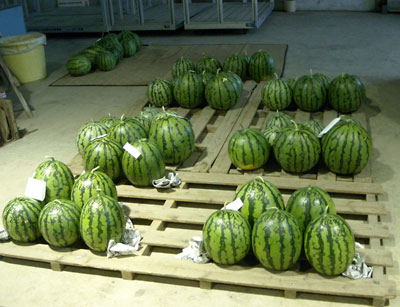 e0097770_23521576.jpg