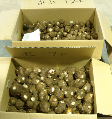e0097770_23531615.jpg