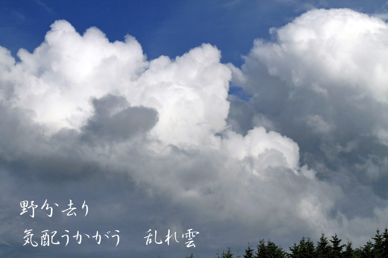 e0100772_21342848.jpg