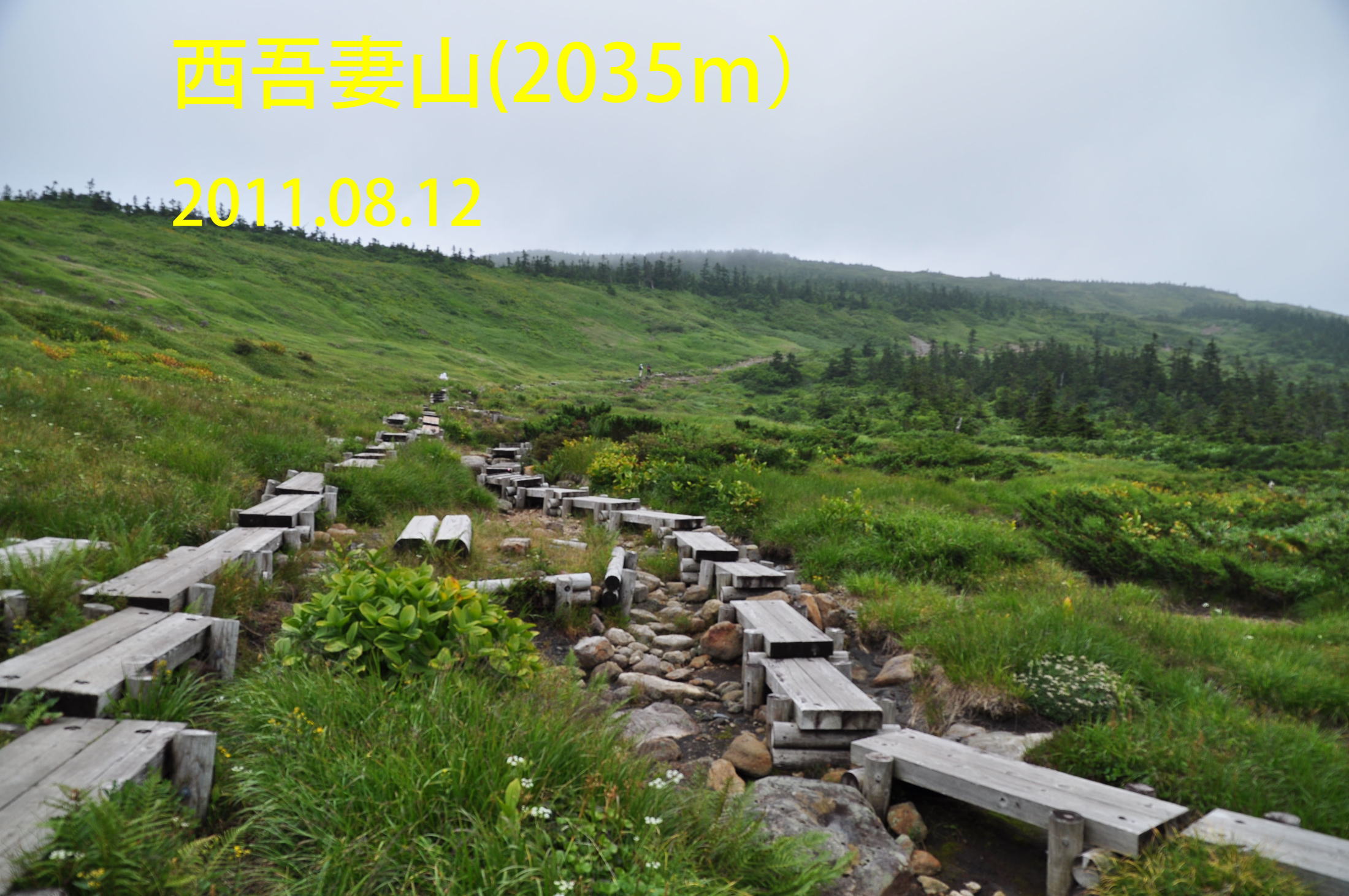c0019376_12585288.jpg