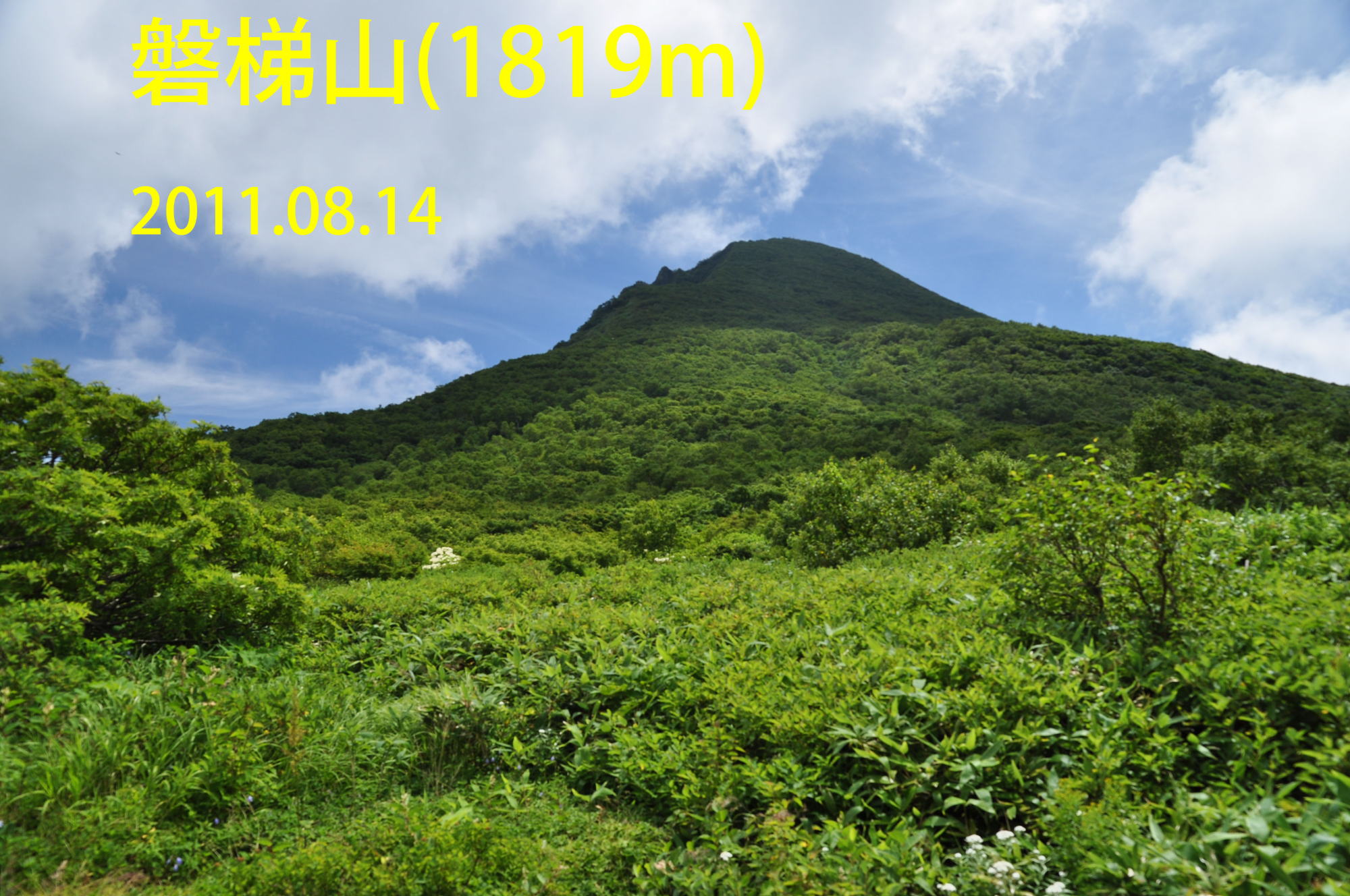 c0019376_15395325.jpg