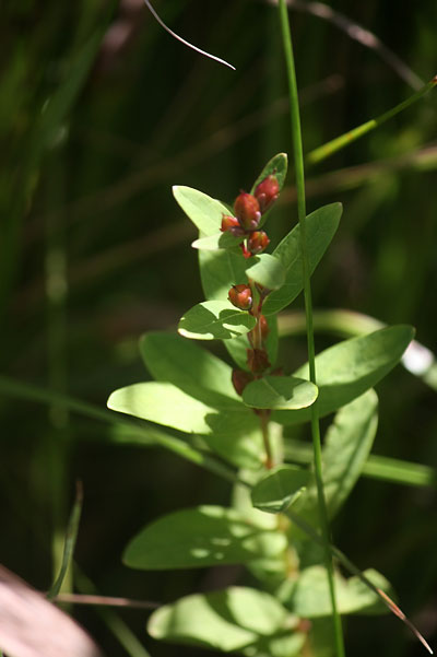 c0152779_23183235.jpg