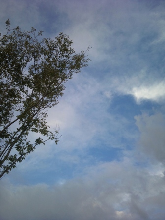 f0230380_17111533.jpg