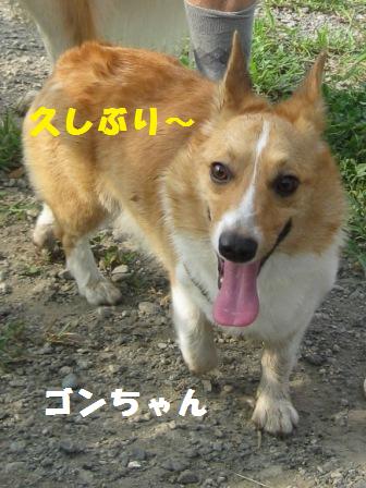 f0230380_17175612.jpg