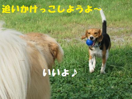 f0230380_1727173.jpg