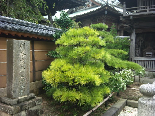 a0221584_18292443.jpg