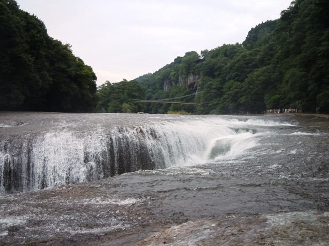 a0045688_1591423.jpg
