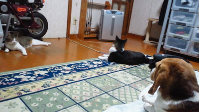 c0003493_954191.jpg