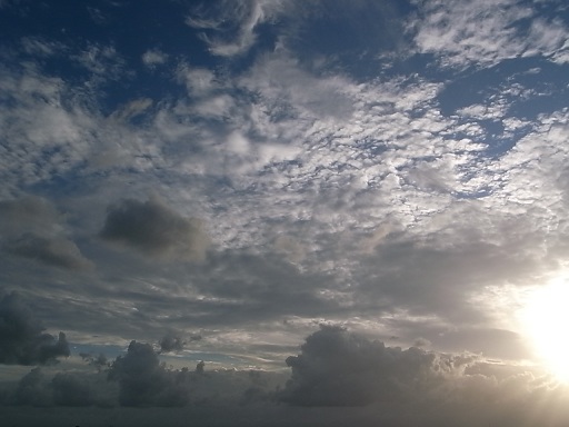 e0043700_222448.jpg