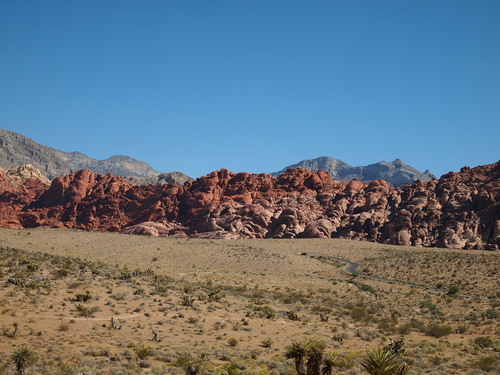 d0016003_1702694.jpg