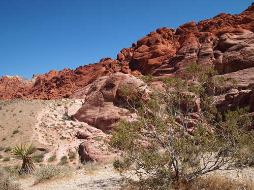d0016003_17594411.jpg