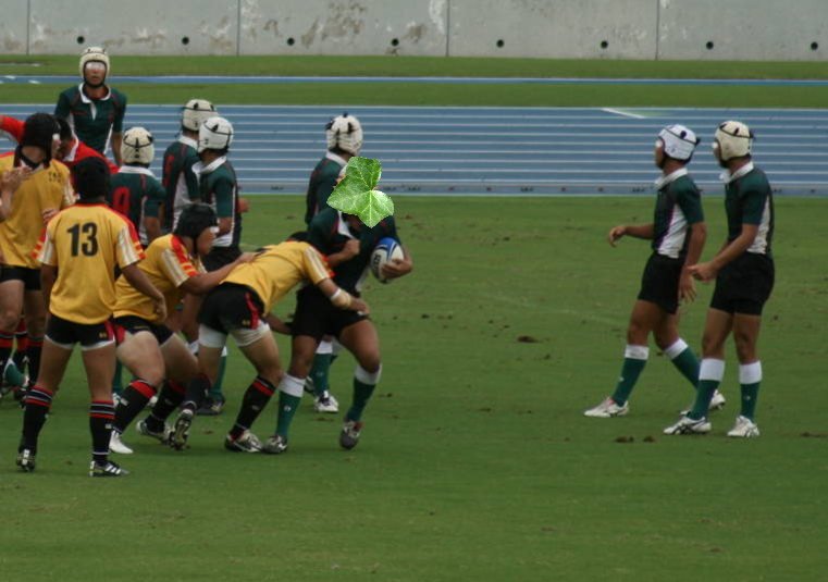 f0031304_637026.jpg